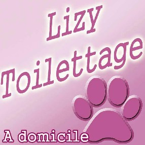 Lizy toilettage Marcheprime