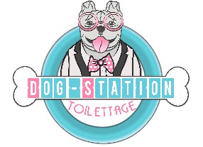 Toilettage Dog-Station Paris