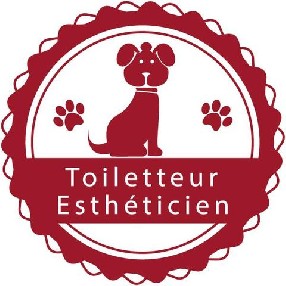 toilettage-larochelle.fr - Salon de toilettage - Un Pelage au Poil La Rochelle